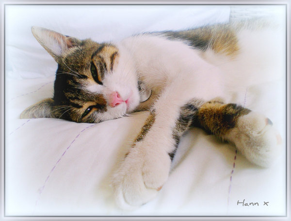 Hann, Expored in Flickr!