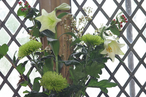 Liliies and Lattice