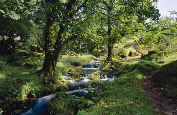 Norsworthy Bridge