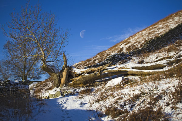 path to Nab Scar