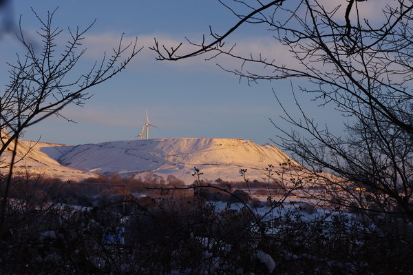 Scout Moor