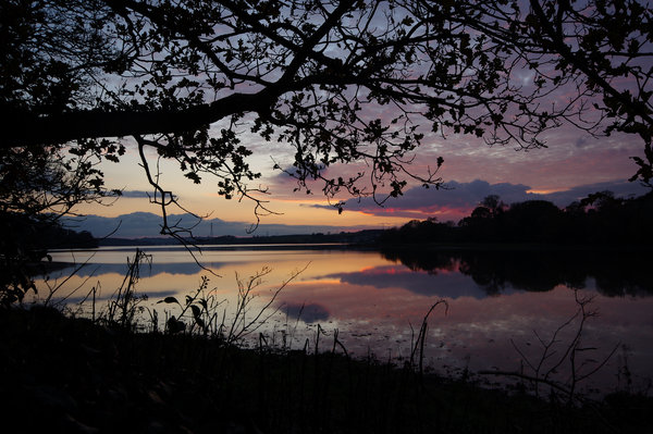Sunset at lopwell dam