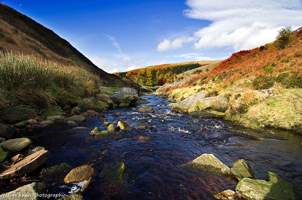 The River