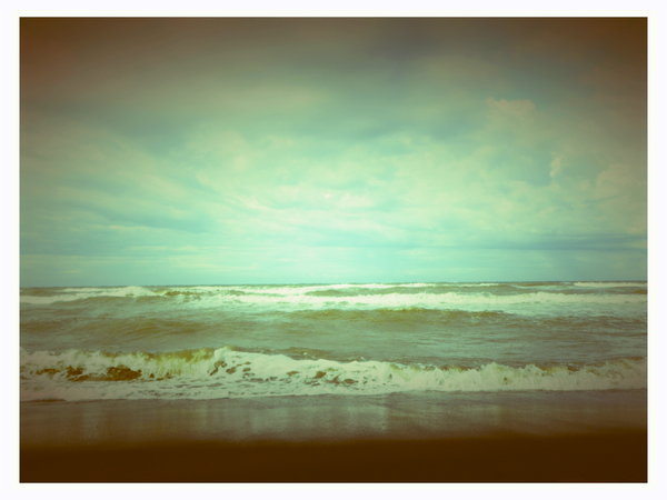 The Shore