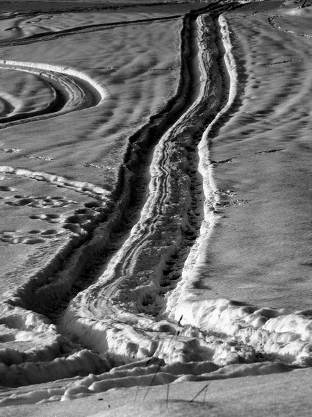 Tracks!