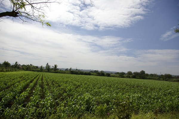 Village beauty