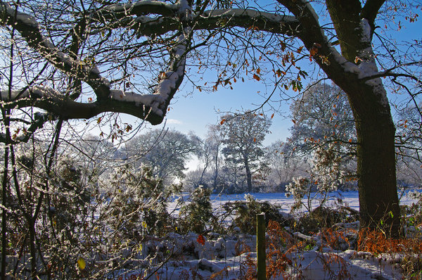 Winter eight