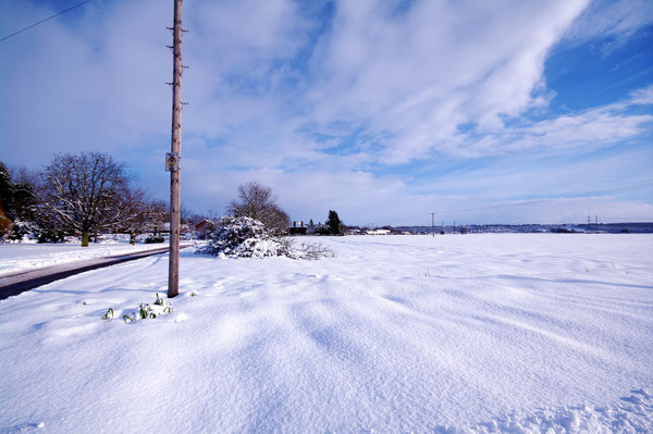 Winters view