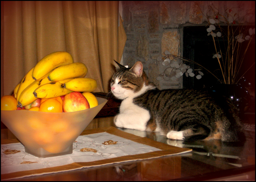A Fruitful time