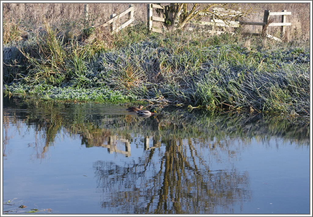 Cold day by the river