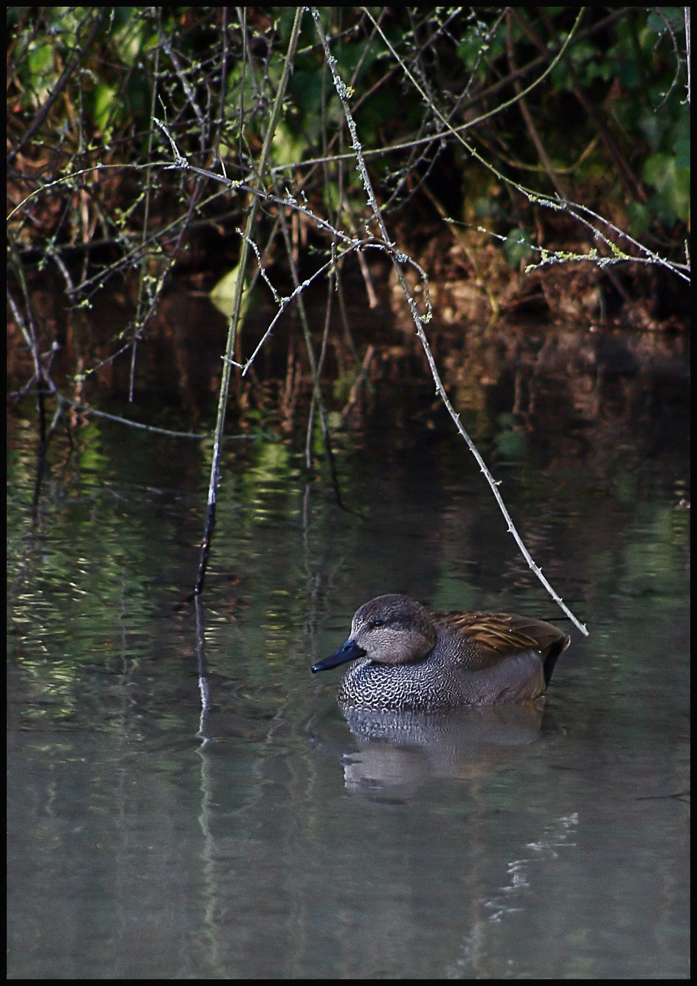 On the cress-beds