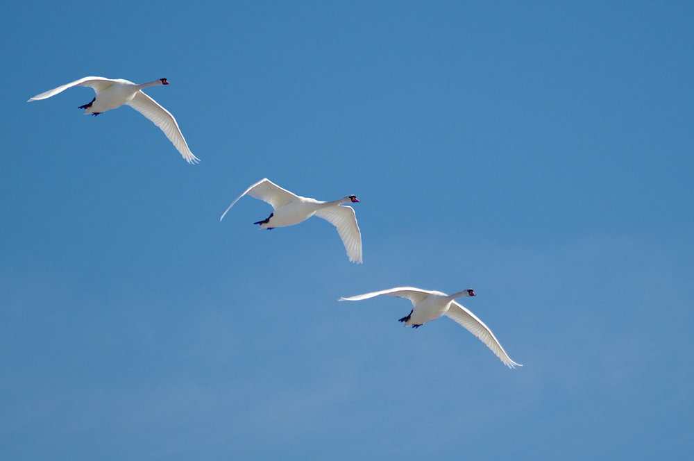 Formation Flying
