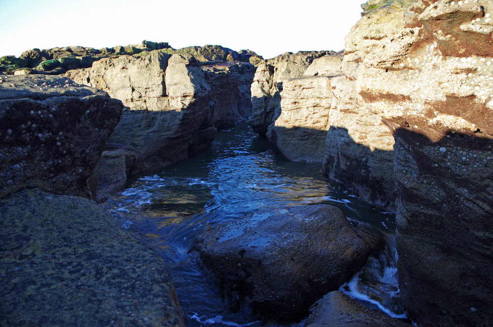 smugglers gully