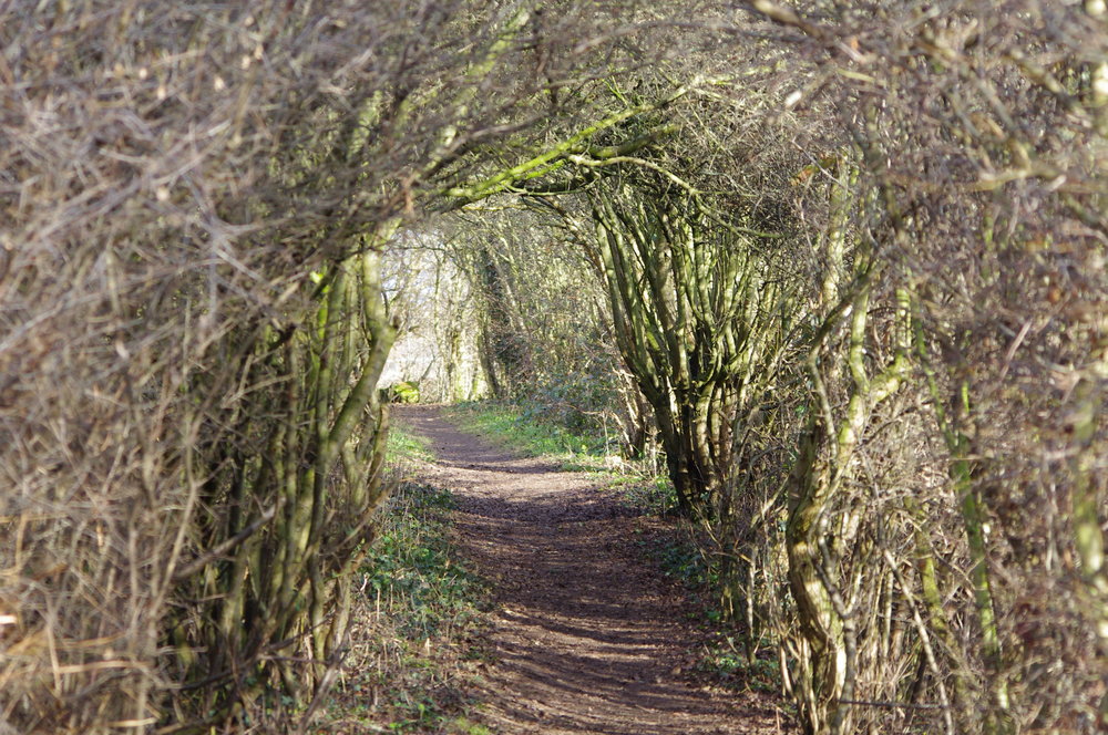 Walkway