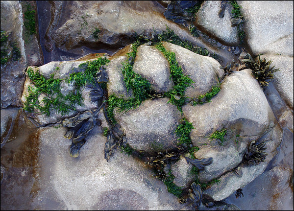 At High Tide