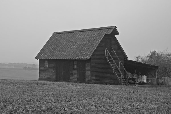 Fog and Field