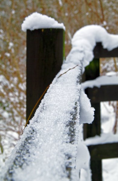 Hawfrost