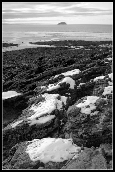 Island in the Snow