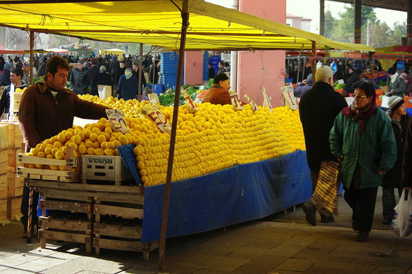 Lemons 20p a kilo!