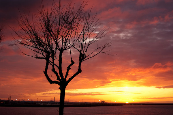 Simple sunset