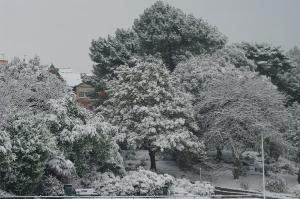 Snow in Bournemouth