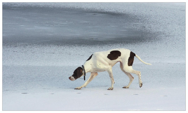 snowy walk