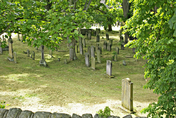 Sunny Resting Place