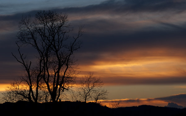 Sunset sky