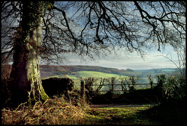 The Quantock Hills