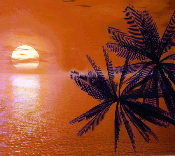 'Tropical Sunset'
