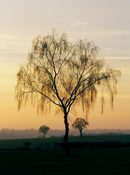 Twilight in Hertfordshire