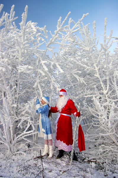 Winter Fairytale
