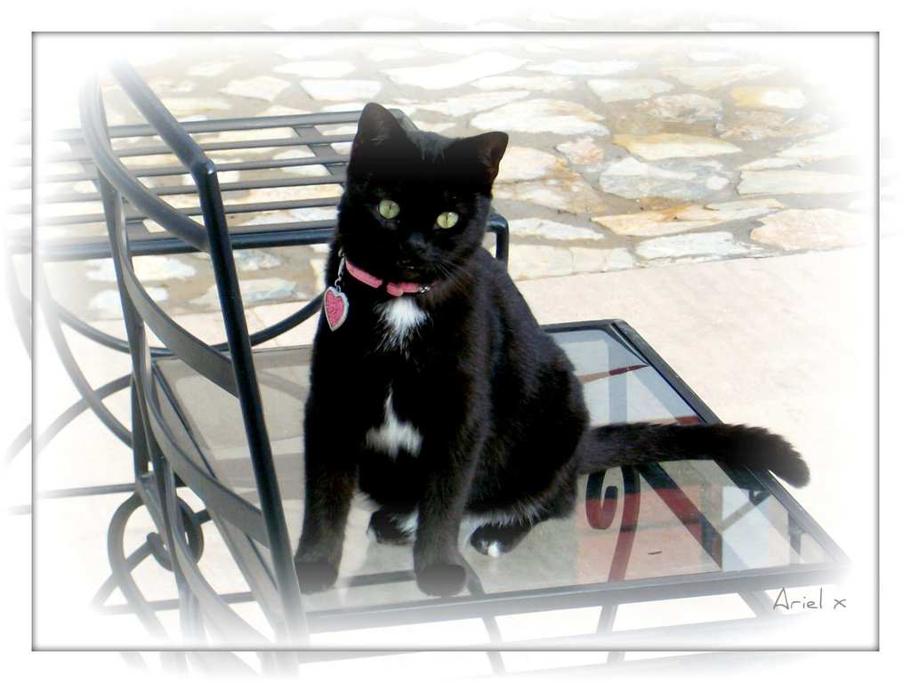 Black and white - and a little Pink!