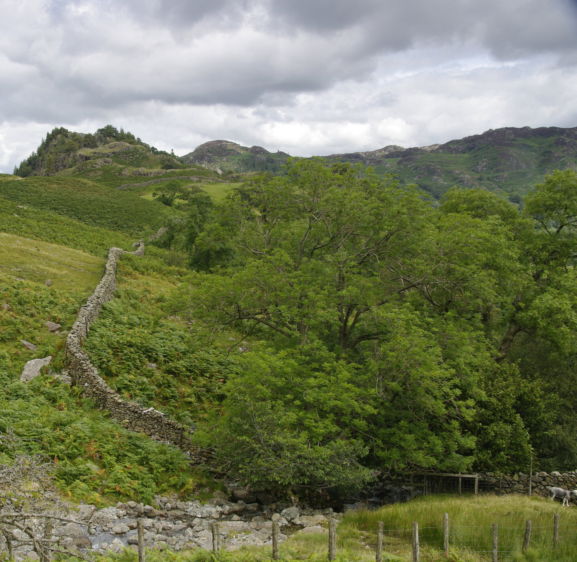 The Lake District