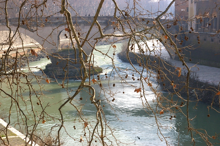 Bridge to the Isola Tiberina