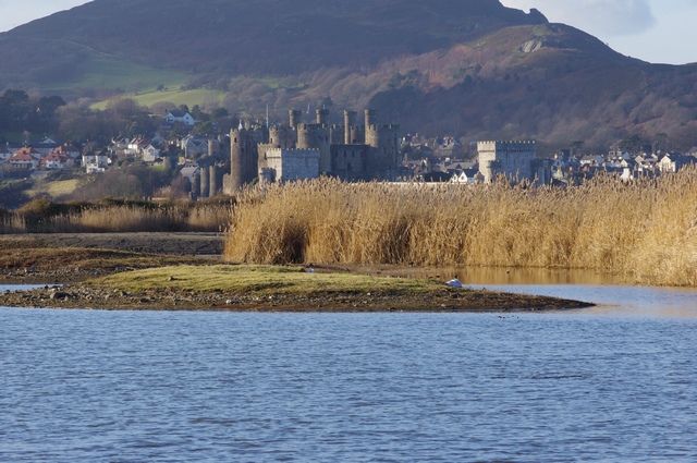 Castle from RSPB Conwy