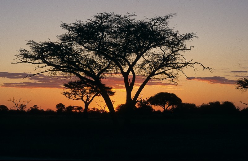 Classic African Sunset