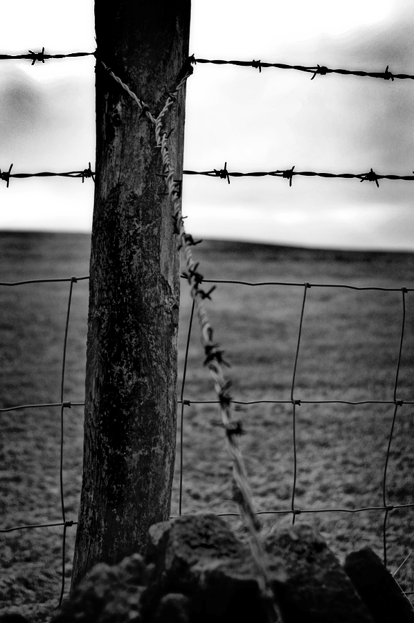 Stranglehold