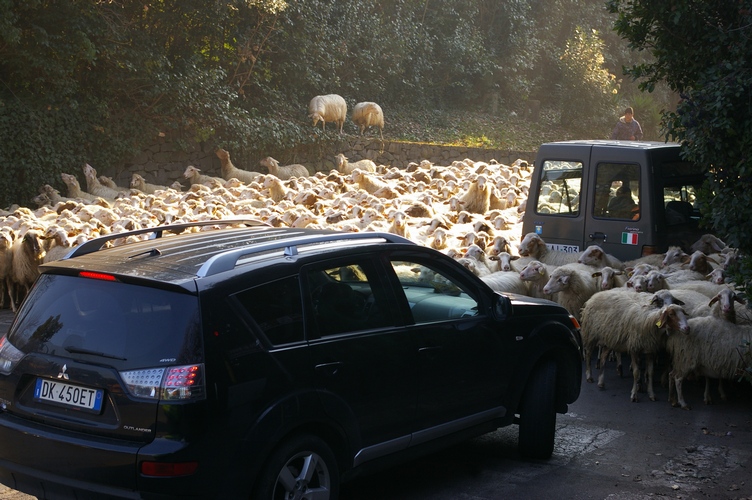 Traffic Jam on the Appian Way near Rome