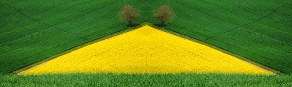 Yellow Triangle