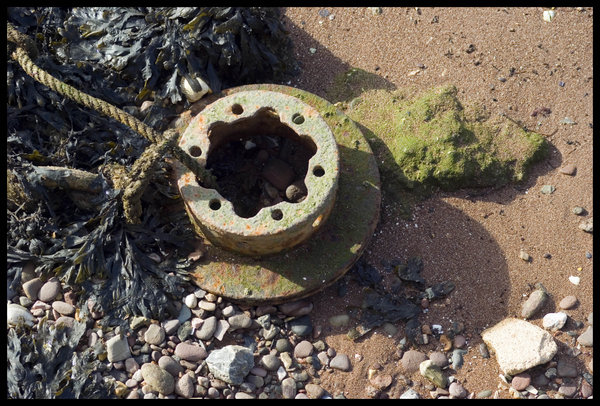 Impromptu Anchor with Tidal Wrack