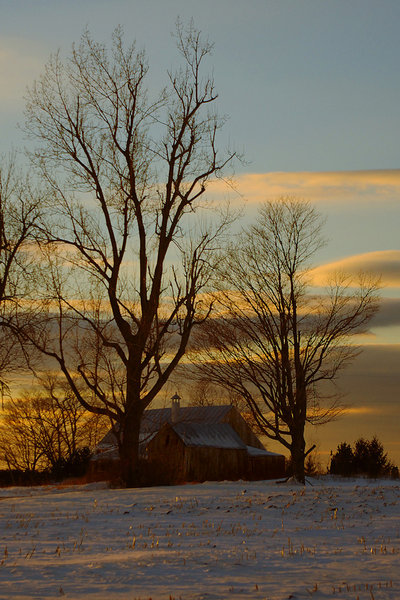Old dairy barn