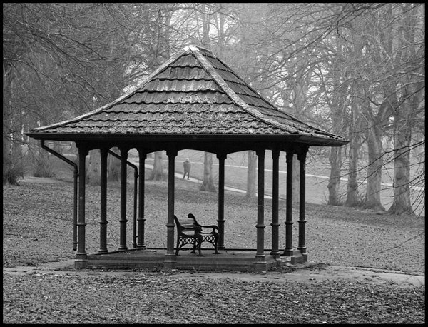 Shelter in the Mist