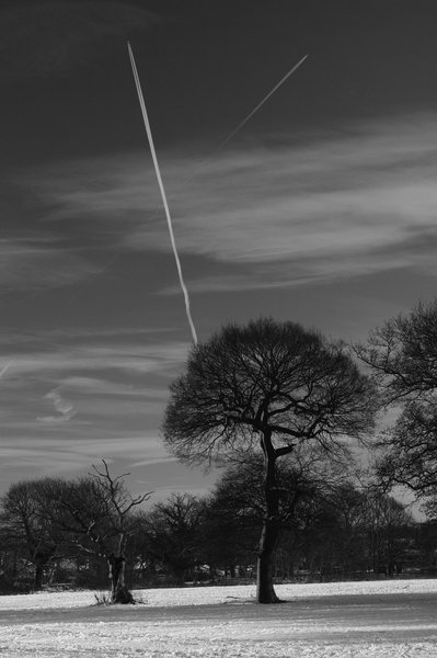 Sky writing...