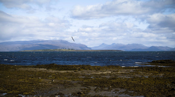 Soaring