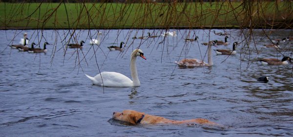 Swimming with friends!