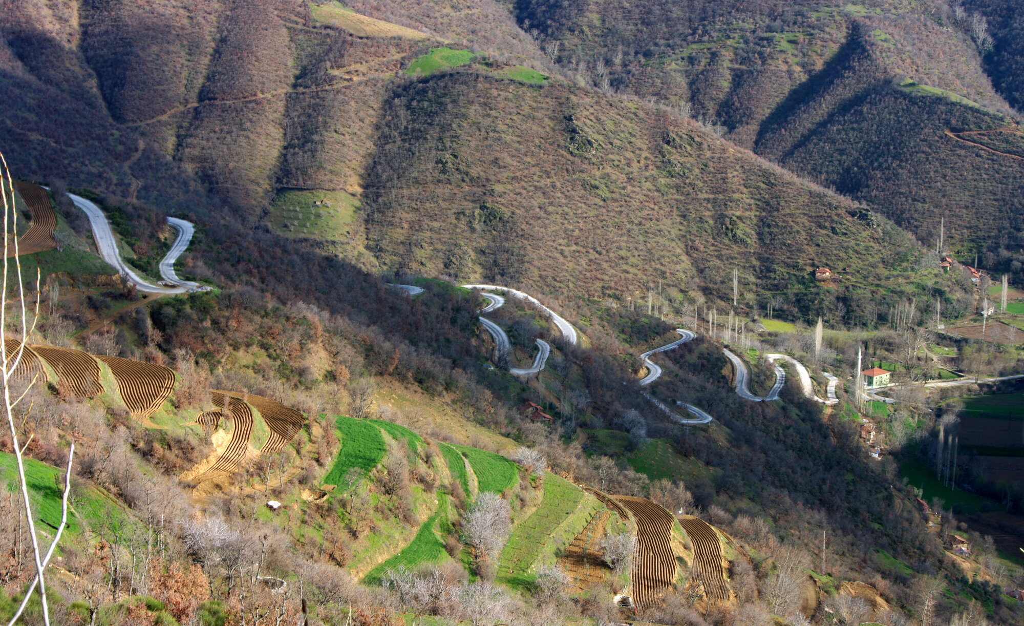 Long and Winding Road