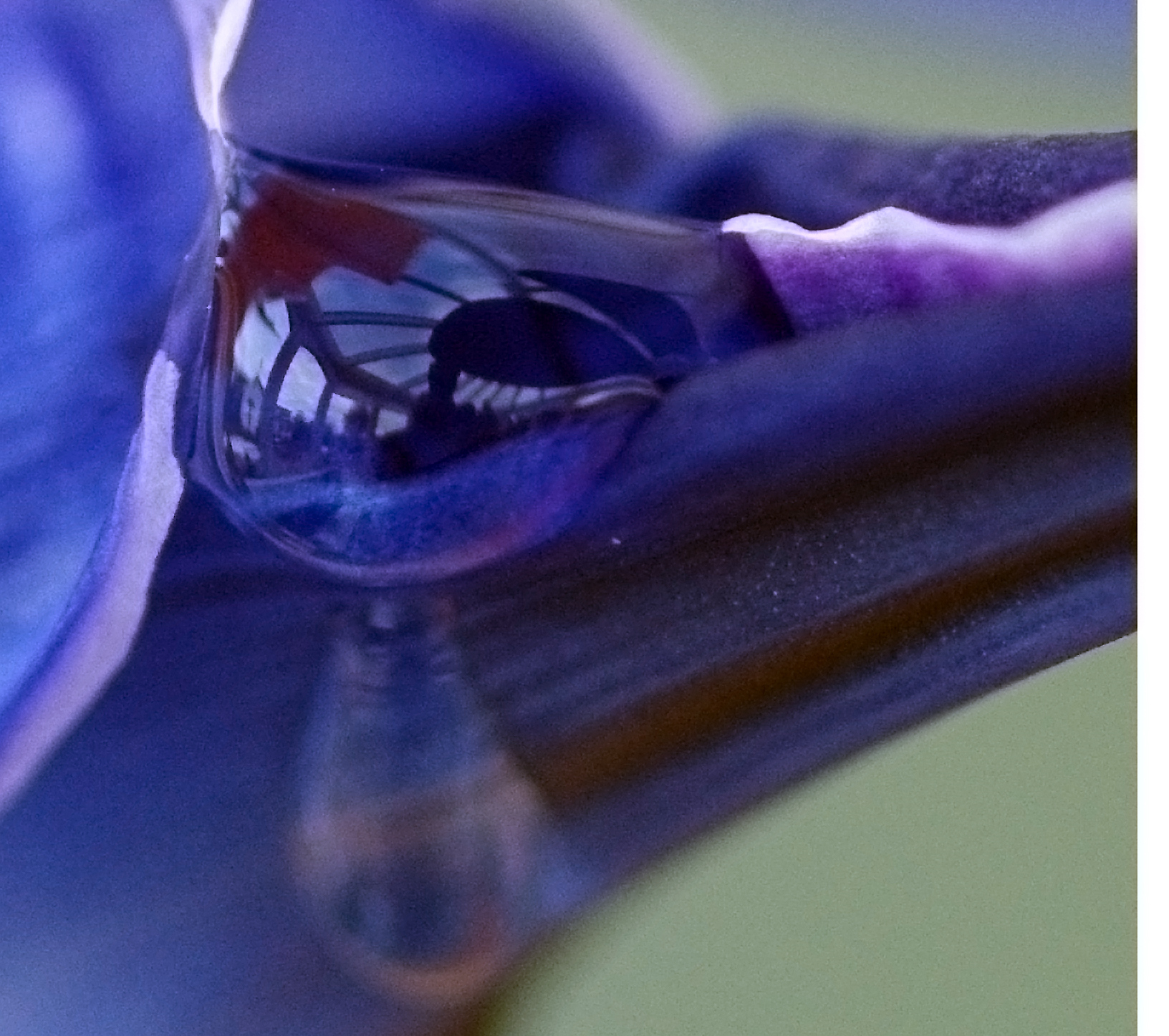 Resin Reflection