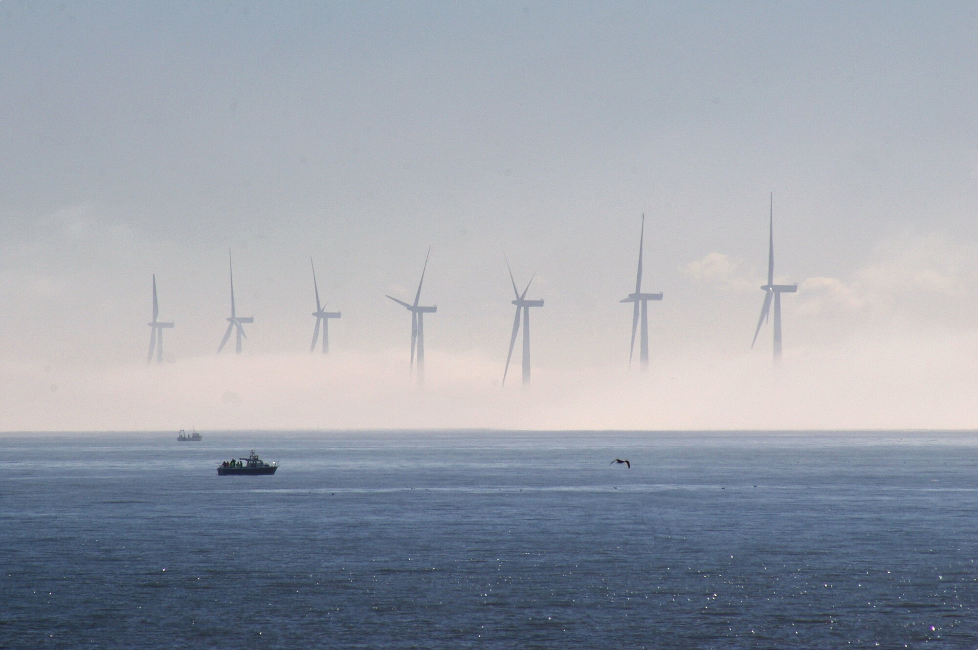 Sea Fog