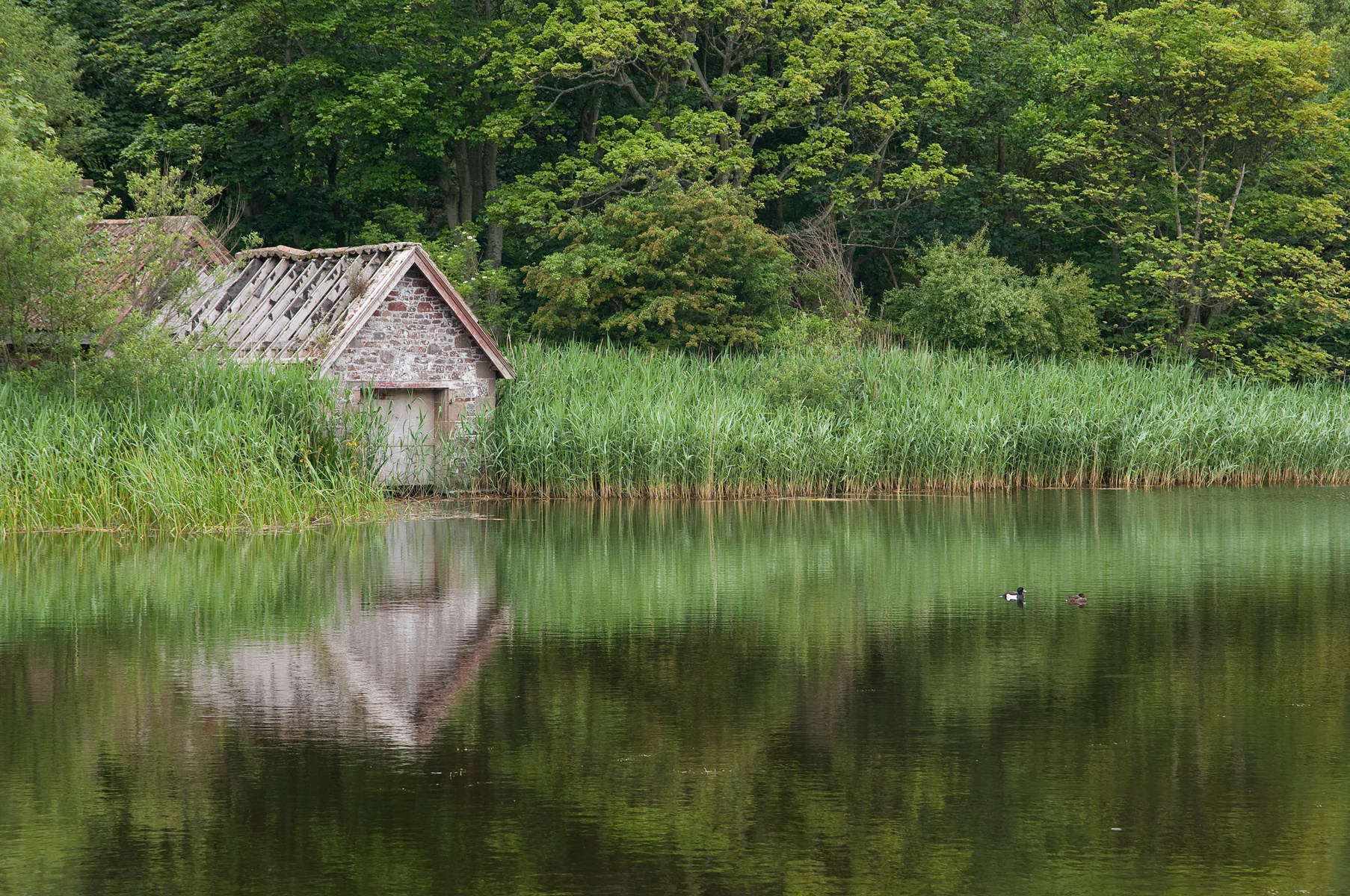 The boathouse